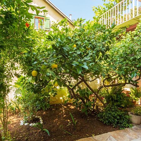 Apartments Afrodita دوبروفينك المظهر الخارجي الصورة