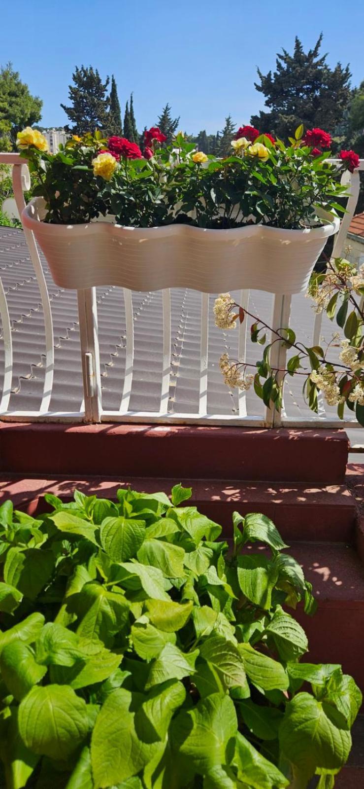 Apartments Afrodita دوبروفينك المظهر الخارجي الصورة