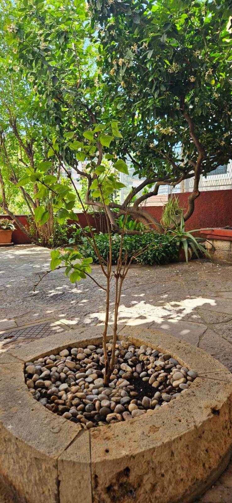 Apartments Afrodita دوبروفينك المظهر الخارجي الصورة